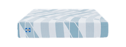 Sealy Dreamlife Mattress